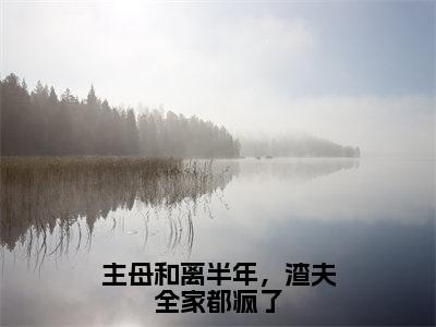 李长英周棠宁精彩小说-主母和离半年，渣夫全家都疯了全章节免费阅读