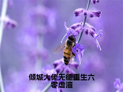 安沐颜小说免费全本-倾城大佬无德重生六零虐渣小说（安沐颜完整版）免费阅读