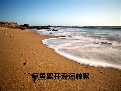 鲸鱼离开深海林絮小说:（鲸鱼离开深海林絮）全文免费阅读无弹窗大结局_贺北渊林絮小说:鲸鱼离开深海林絮最新章节列表