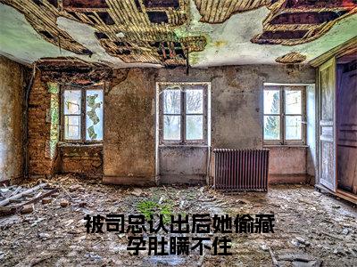 被司总认出后她偷藏孕肚瞒不住小说无弹窗（司祁白姜眠眠）全文免费阅读无弹窗大结局_司祁白姜眠眠最新章节列表_笔趣阁