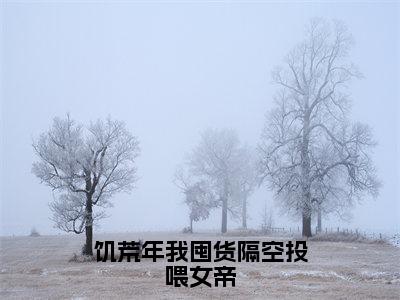 饥荒年我囤货隔空投喂女帝（陈辰）全文免费阅读无弹窗大结局_（陈辰免费阅读全文大结局）最新章节列表