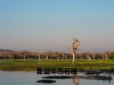 霍盛年苏若晚（苏若晚霍盛年小说）全文免费阅读无弹窗大结局_苏若晚霍盛年小说免费阅读最新章节列表