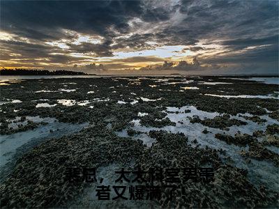 裴总，太太科室男患者又爆满了！小说全文免费阅读无弹窗，（裴锦川顾眠）小说全文免费阅读