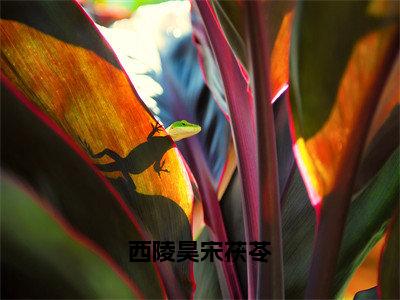 西陵昊宋茯苓（宋茯苓西陵昊）全文免费阅读无弹窗大结局-西陵昊宋茯苓免费阅读全文大结局-笔趣阁