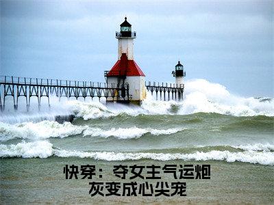 快穿：夺女主气运炮灰变成心尖宠（时景辰林玖儿）全文免费阅读无弹窗大结局_时景辰林玖儿_笔趣阁