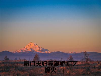 豪门夫妇靠离婚综艺爆火（姜清衍温沐冉）高质量小说免费阅读_豪门夫妇靠离婚综艺爆火最新章节列表_笔趣阁