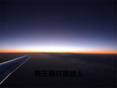 林静疏纪淮霆（再无明月照故人）免费全文阅读小说_（林静疏纪淮霆）再无明月照故人最新章节列表