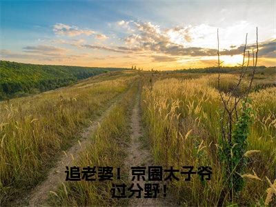 陆景泽望星河小说全文（追老婆！京圈太子爷过分野！）在线阅读-陆景泽望星河全文免费阅读无弹窗大结局