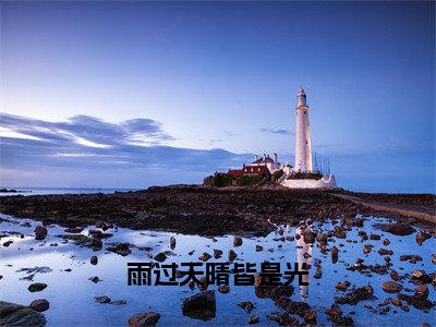 雨过天晴皆是光（司霆烈孟忻枝）全文免费阅读无弹窗大结局_（司霆烈孟忻枝）雨过天晴皆是光最新章节列表