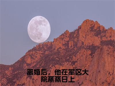 离婚后，他在军区大院蒸蒸日上（周芸菁宋景渊）全文免费阅读无弹窗大结局_离婚后，他在军区大院蒸蒸日上全文免费阅读_笔趣阁