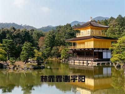 林霏霏谢宇阳（谢宇阳林霏霏）全文免费阅读无弹窗大结局_林霏霏谢宇阳免费阅读最新章节列表_笔趣阁（谢宇阳林霏霏）