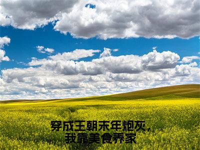 （崔粥）穿成王朝末年炮灰，我靠美食养家全文免费阅读无弹窗大结局_（穿成王朝末年炮灰，我靠美食养家）崔粥免费阅读无弹窗最新章节列表