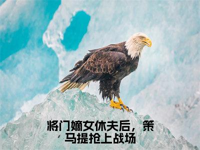 【新书】《商岳清柳时斐》将门嫡女休夫后，策马提抢上战场全文全章节免费阅读