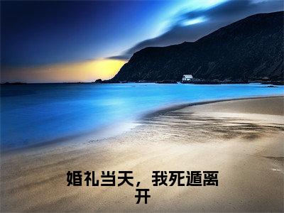 婚礼当天，我死遁离开全文小说（贺霆舟）-完结版热文贺霆舟（婚礼当天，我死遁离开）小说免费阅读