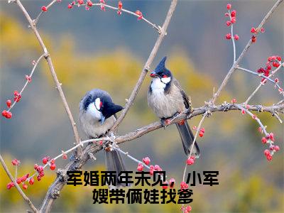 宋言彻许烟全文免费阅读_（军婚两年未见，小军嫂带俩娃找爹免费阅读无弹窗）宋言彻许烟最新章节列表笔趣阁