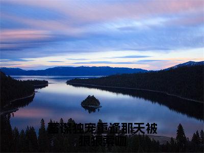 小说名字是：蓄谋独宠重逢那天被狠狠索吻小说免费阅读无弹窗，小说名字是：许紫贺宴的小说在线阅读无删减