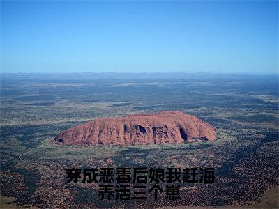 【新书】《白青瑶》全文免费阅读无弹窗大结局-穿成恶毒后娘我赶海养活三个崽全文全章节免费阅读