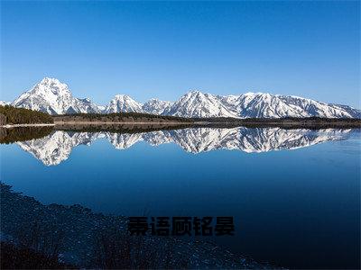 秦语顾铭晏（秦语顾铭晏）免费全文阅读小说_（秦语顾铭晏）秦语顾铭晏最新章节列表