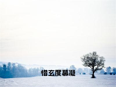 慕凝惜玄度（惜玄度慕凝）小说全文免费阅读正版无弹窗惜玄度慕凝全文无弹窗阅读