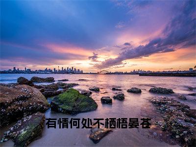 有情何处不栖梧晏苍（凤祁瑶晏苍）全文免费阅读无弹窗大结局_（凤祁瑶晏苍免费阅读全文大结局）最新章节列表