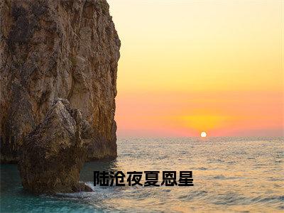 陆沧夜夏恩星（夏恩星陆沧夜）全文免费阅读无弹窗大结局_（陆沧夜夏恩星免费阅读全文大结局）最新章节列表