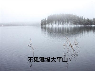 邓程渝阮晓棠全文免费阅读无弹窗大结局_（不见港城太平山小说）邓程渝阮晓棠最新章节列表笔趣阁（不见港城太平山）