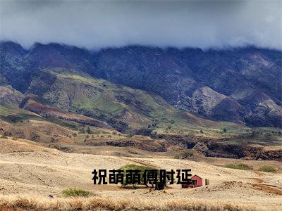 祝萌萌傅时延热门榜单小说祝萌萌傅时延完本小说无弹窗免费阅读