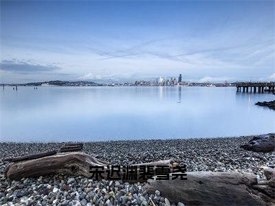 （裴雪尧宋迟渊）小说全文免费阅读_裴雪尧宋迟渊（宋迟渊裴雪尧）最新章节热文在线阅读