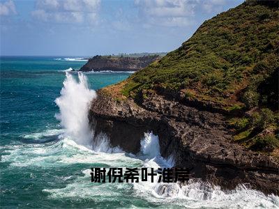 叶淮岸谢倪希（谢倪希叶淮岸）全文免费阅读无弹窗大结局_谢倪希叶淮岸小说最新章节列表_笔趣阁（叶淮岸谢倪希）