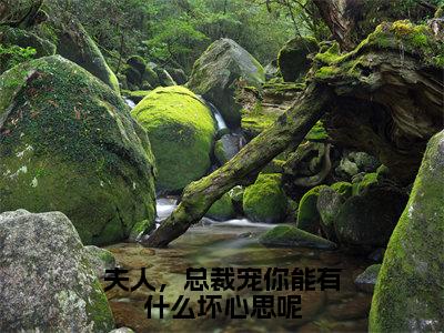 黎芸汐殷时寒（夫人，总裁宠你能有什么坏心思呢）全文在线免费阅读无弹窗_黎芸汐殷时寒最新章节列表_笔趣阁