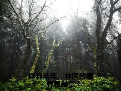 穿到荒年，神医娇妻养崽暴富全集免费阅读无弹窗_叶欣染完结小说榜单阅读（叶欣染小说）