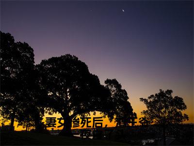 小说（妻女惨死后，渣王爷一夜白了头）沈慕兮慕容景衍精选片段阅读-小说沈慕兮慕容景衍免费版最新更新阅读