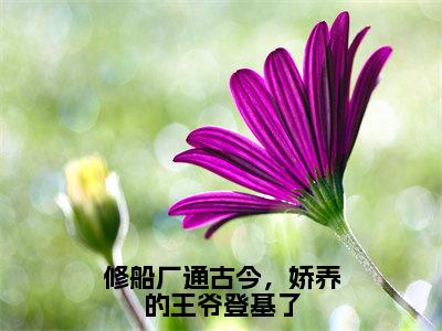 苏苏萧云啸全文免费阅读-修船厂通古今，娇养的王爷登基了最新章节小说免费阅读