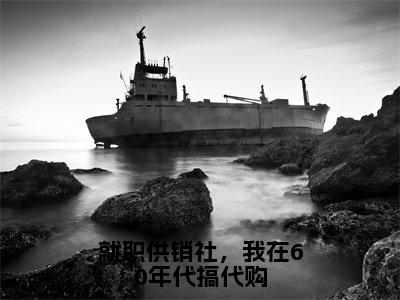 就职供销社，我在60年代搞代购（许姣姣）全文免费阅读无弹窗大结局_就职供销社，我在60年代搞代购小说全文免费阅读最新章节列表（许姣姣）