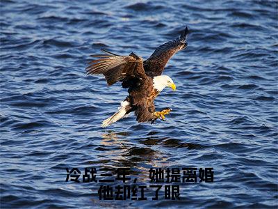 黎浅顾庭琛（冷战三年，她提离婚他却红了眼）小说免费阅读无弹窗_（黎浅顾庭琛）最新章节列表笔趣阁（黎浅顾庭琛）