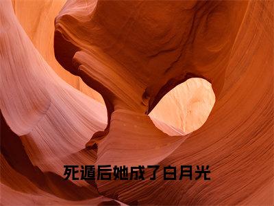 （番外）+（全文）死遁后她成了白月光（宋迦凝傅纪淮）精彩小说-小说宋迦凝傅纪淮全文无删减版免费阅读