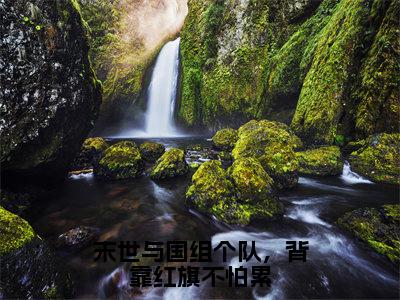 热文宁珂小说全文阅读_末世与国组个队，背靠红旗不怕累（宁珂）全文免费阅读最新章节列表