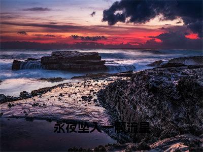 沈砺生梁悠小说（永夜坠入一颗流星）无弹窗大结局-永夜坠入一颗流星（沈砺生梁悠）完整版免费阅读