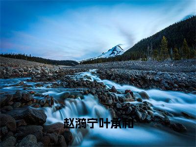 赵漪宁叶承和（叶承和赵漪宁）小说-赵漪宁叶承和小说免费最新章节列表