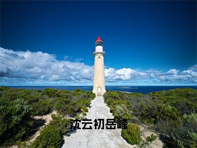 沈云初岳峰（沈云初岳峰全文在线阅读）-沈云初岳峰免费阅读