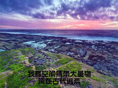 我靠空间携带大量物资在古代逃荒（楚墨寒顾芊凝）全文免费阅读无弹窗_我靠空间携带大量物资在古代逃荒小说免费阅读_笔趣阁