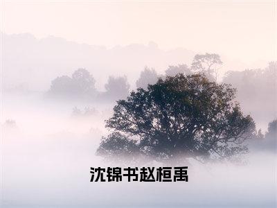 沈锦书赵桓禹（赵桓禹沈锦书）全文免费阅读无弹窗_沈锦书赵桓禹全文免费阅读无弹窗最新章节列表笔趣阁