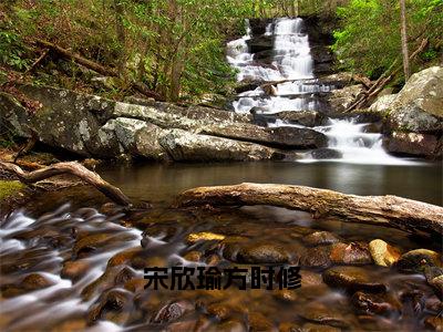 宋欣瑜方时修小说精彩章节今日阅读更新-（方时修宋欣瑜小说）免费阅读小说全文