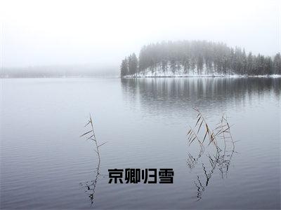 京卿归雪（陆珩礼阮宜棠免费阅读无弹窗）陆珩礼阮宜棠最新章节列表_笔趣阁