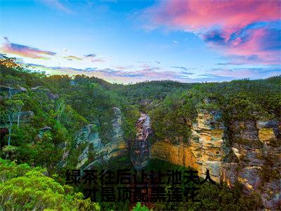 绿茶往后让让池夫人才是顶配黑莲花（池野虞晚）在线阅读-绿茶往后让让池夫人才是顶配黑莲花小说池野虞晚完整版免费阅读