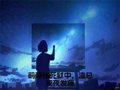 小说前妻惨死狱中，渣总夜夜发疯（沈青禾路闻舟全文免费阅读）完结阅读_沈青禾路闻舟全文免费阅读免费看全文