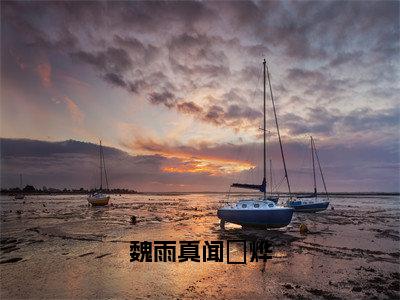 魏雨真闻璟烨（魏雨真闻璟烨）全文免费阅读无弹窗大结局_魏雨真闻璟烨最新章节列表