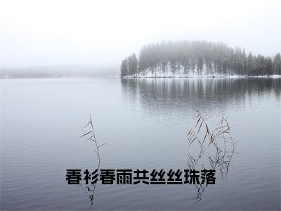 春衫春雨共丝丝珠落（苏在野珠落）全文免费阅读无弹窗大结局_（春衫春雨共丝丝珠落）已完结全集大结局小说