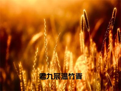 温竹青君九宸（君九宸温竹青）全文免费阅读无弹窗大结局_温竹青君九宸最新章节列表_笔趣阁