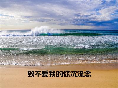 沈流念免费致不爱我的你沈流念读无弹窗最新章节列表_笔趣阁（沈流念）